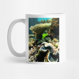 Giant Clam Mug